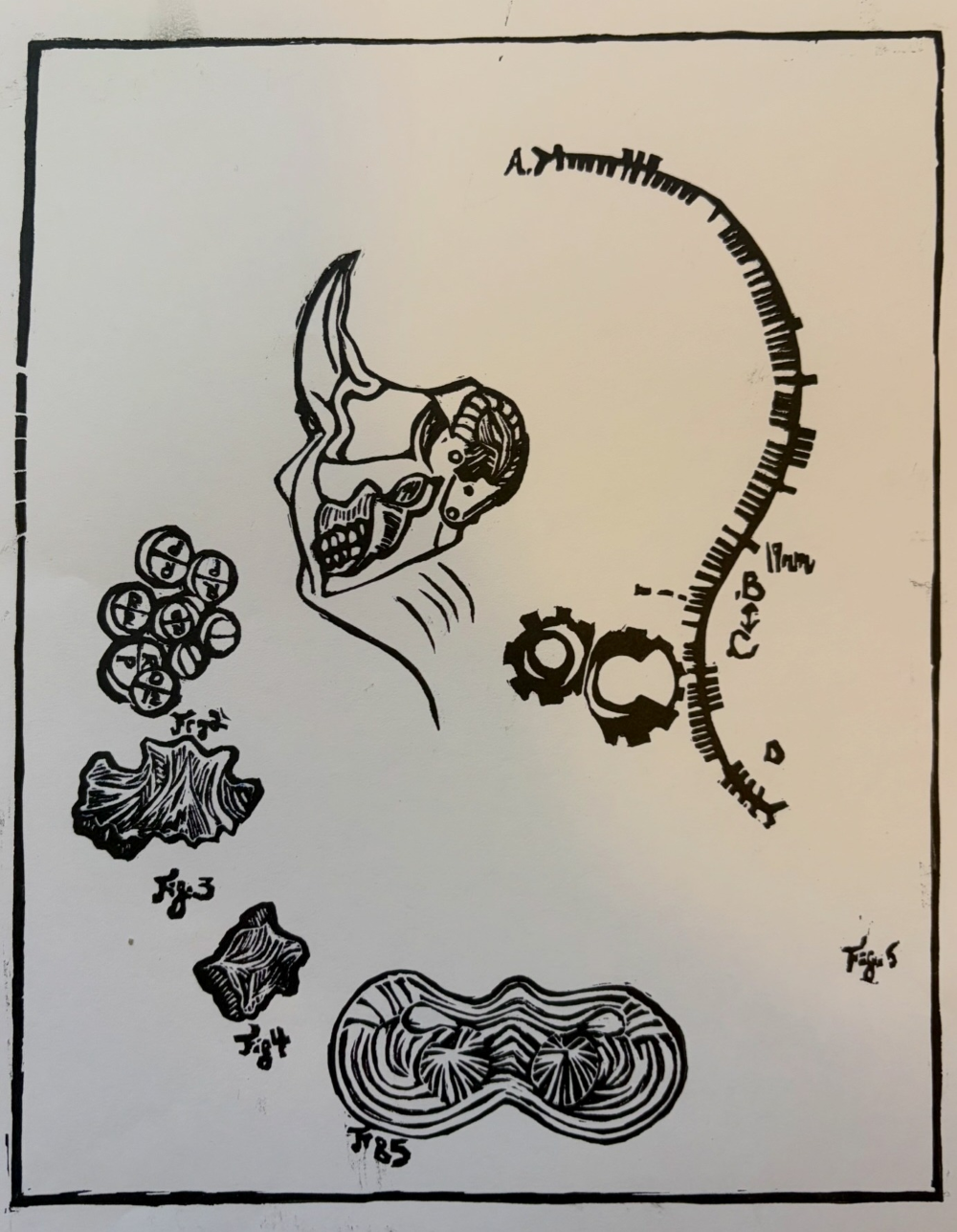 Image of Final Bowl #1